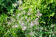 image0168