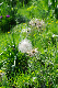 image0169