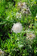 image0170