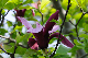 image0171