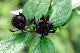 image0172