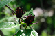 image0173