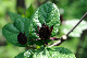 image0174