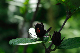 image0175