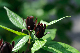 image0177