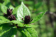 image0178