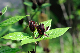 image0179
