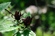 image0180
