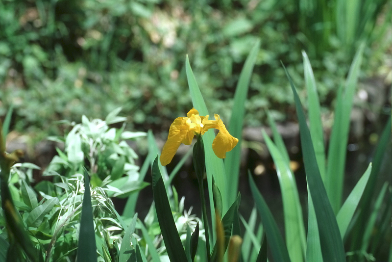 image0032