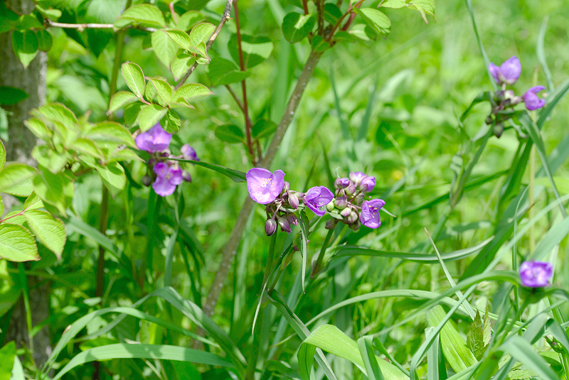 image0099
