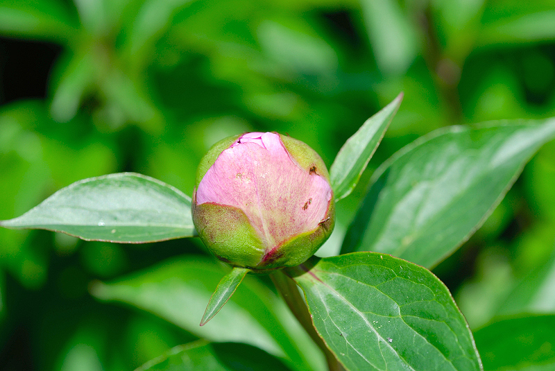 image0114