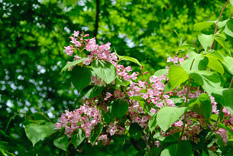 image0136