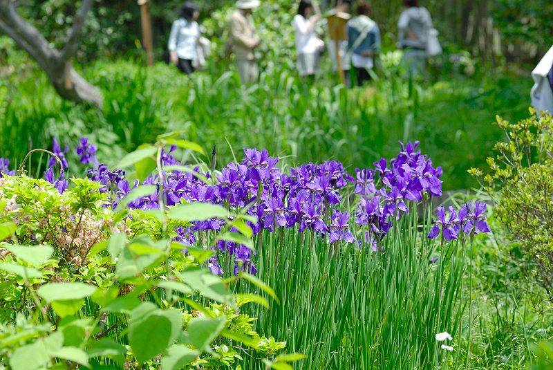 image0146