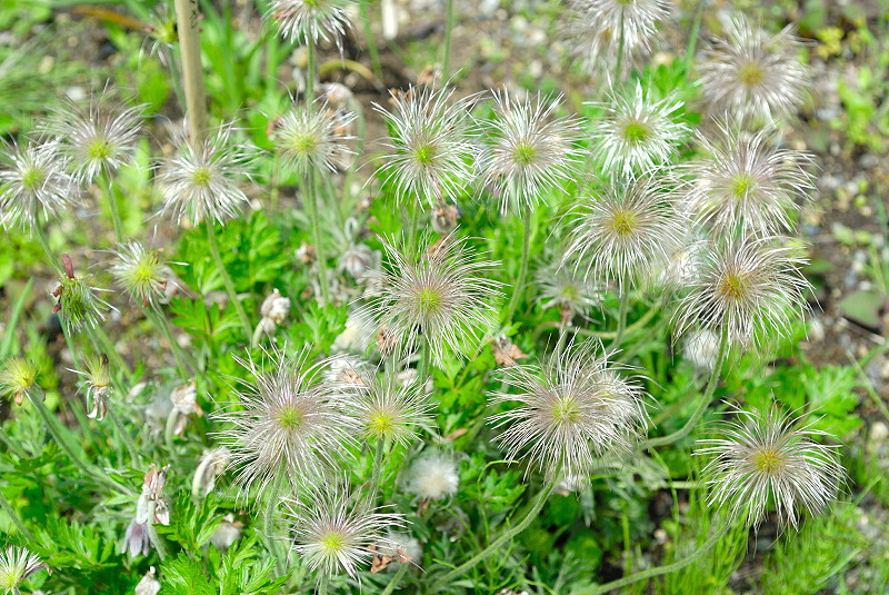image0153