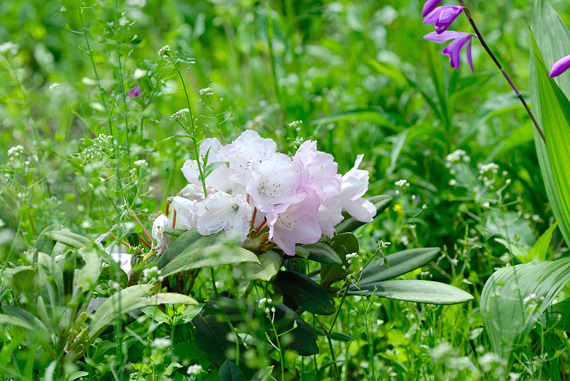 image0157