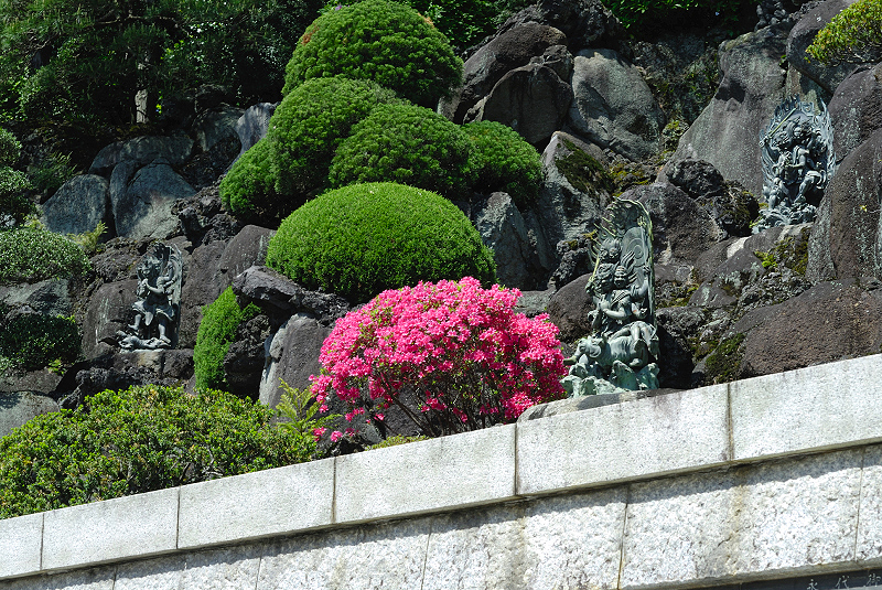 image0099