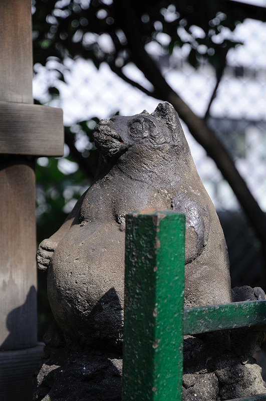 image0072
