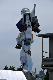 image0172