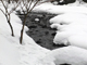 image0015