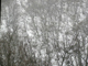 image0027