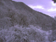 image0047
