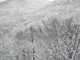 image0053