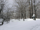 image0054
