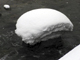 image0071