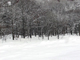 image0073