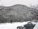 image0074