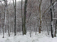 image0075