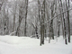 image0078