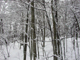 image0082