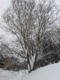 image0135