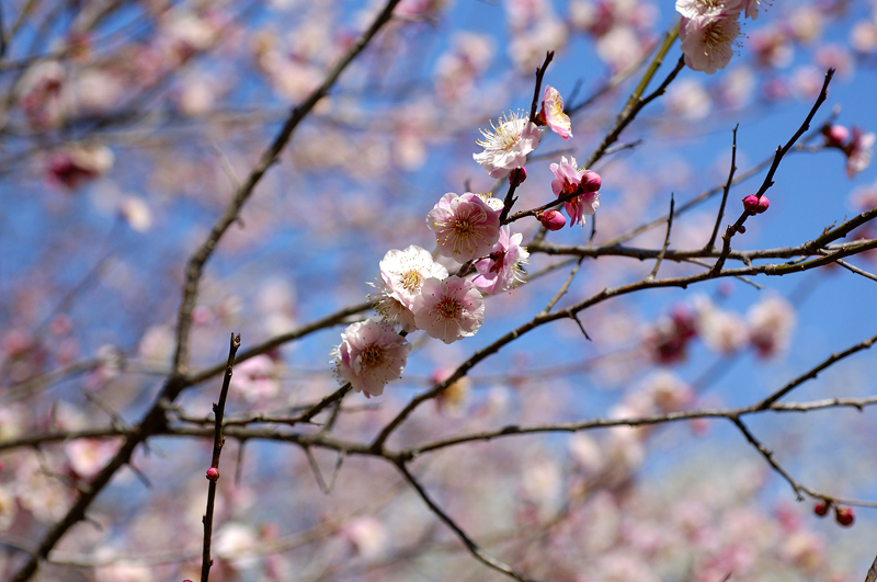 image0088