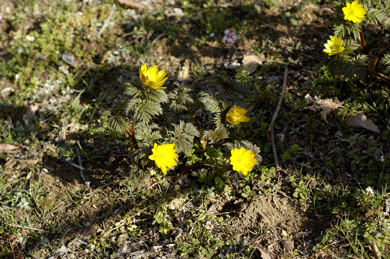 image0110
