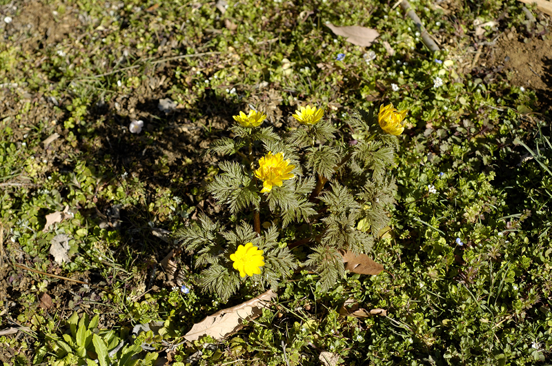 image0111