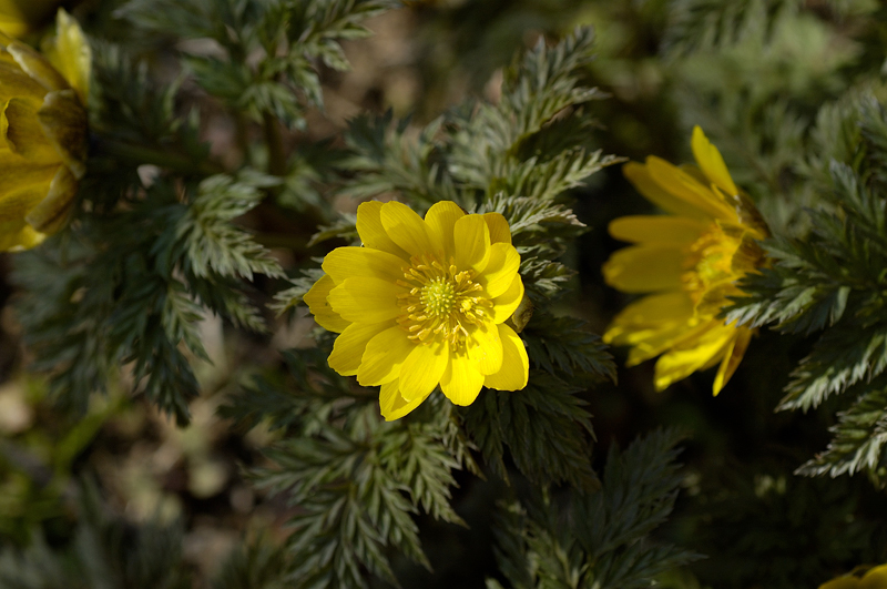 image0112