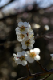 image0072