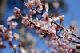 image0073