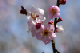 image0074
