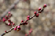 image0077