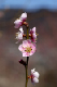 image0079