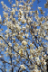 image0084