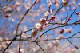 image0088
