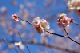 image0089