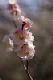 image0090