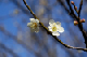 image0097