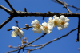 image0098