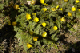image0109
